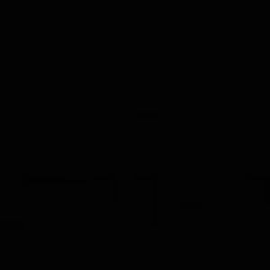 Meet your Posher, Sammy